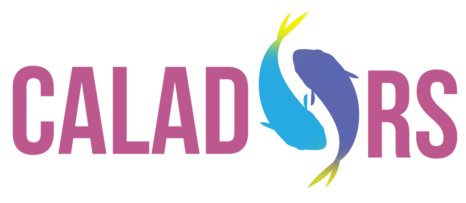 Caladors Commissions