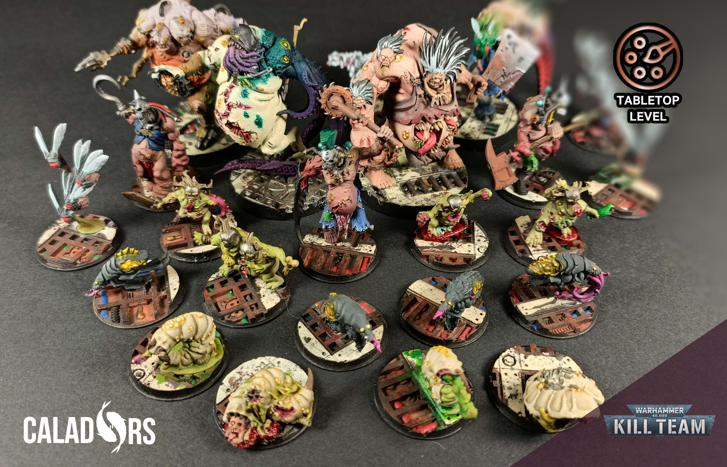 Killteam Gellar Pox Infected