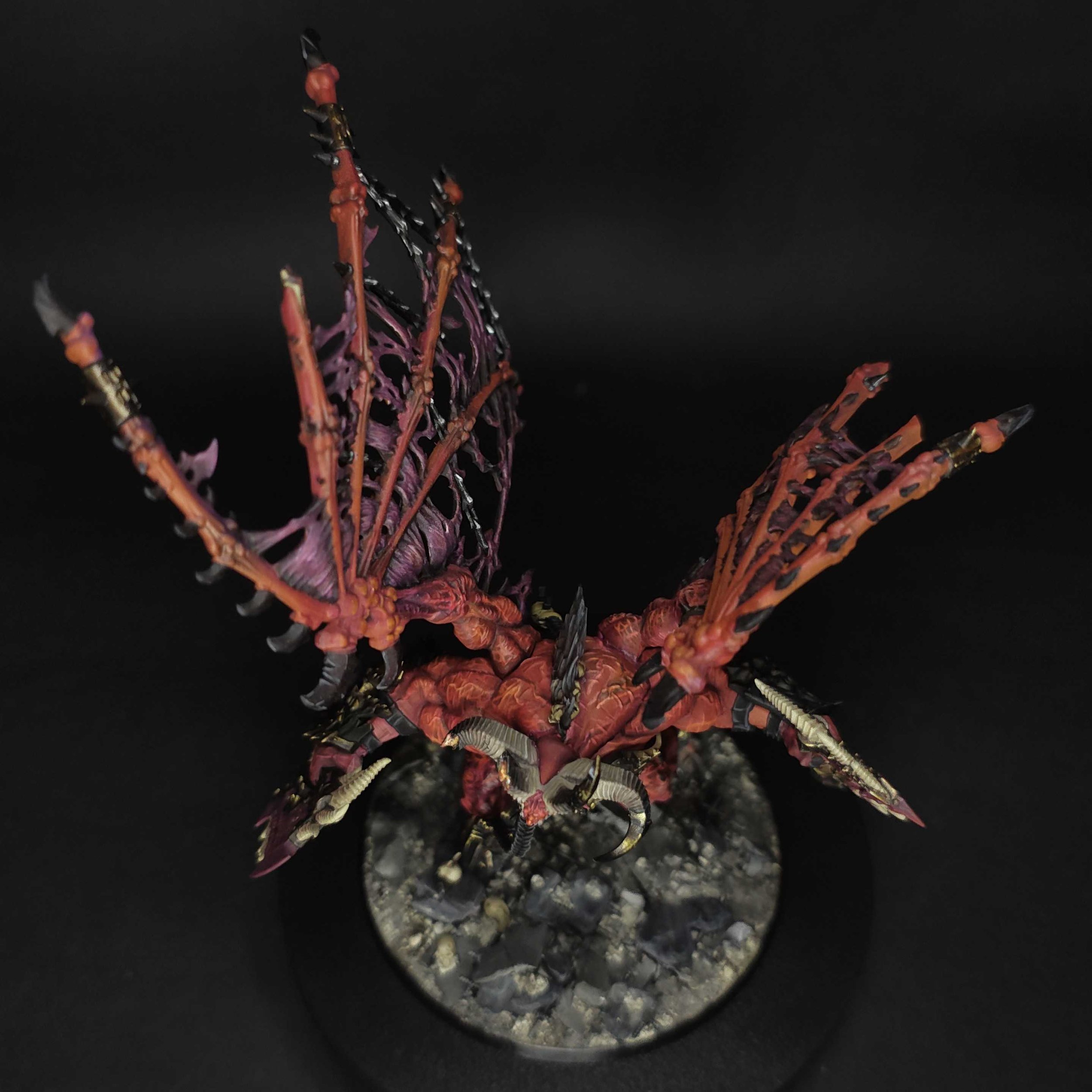 Skarbrand-showcase-final7.jpg