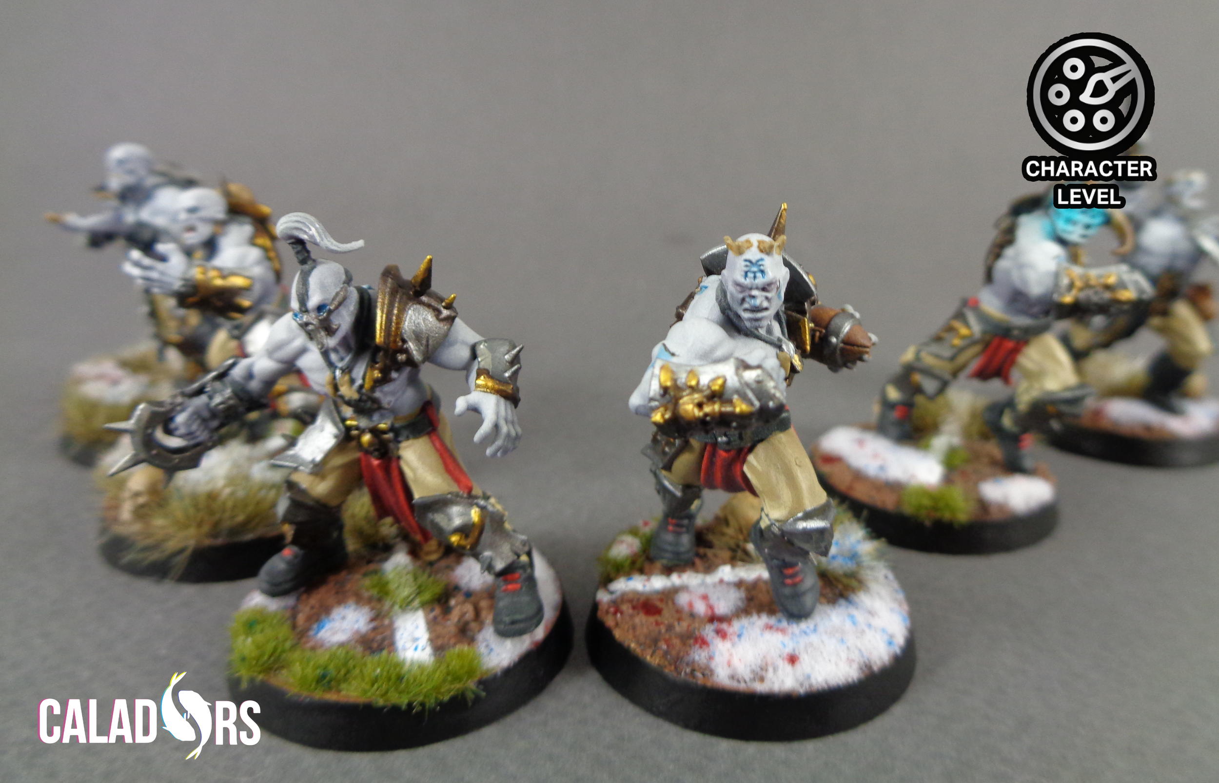 Blood Bowl Winter Whites