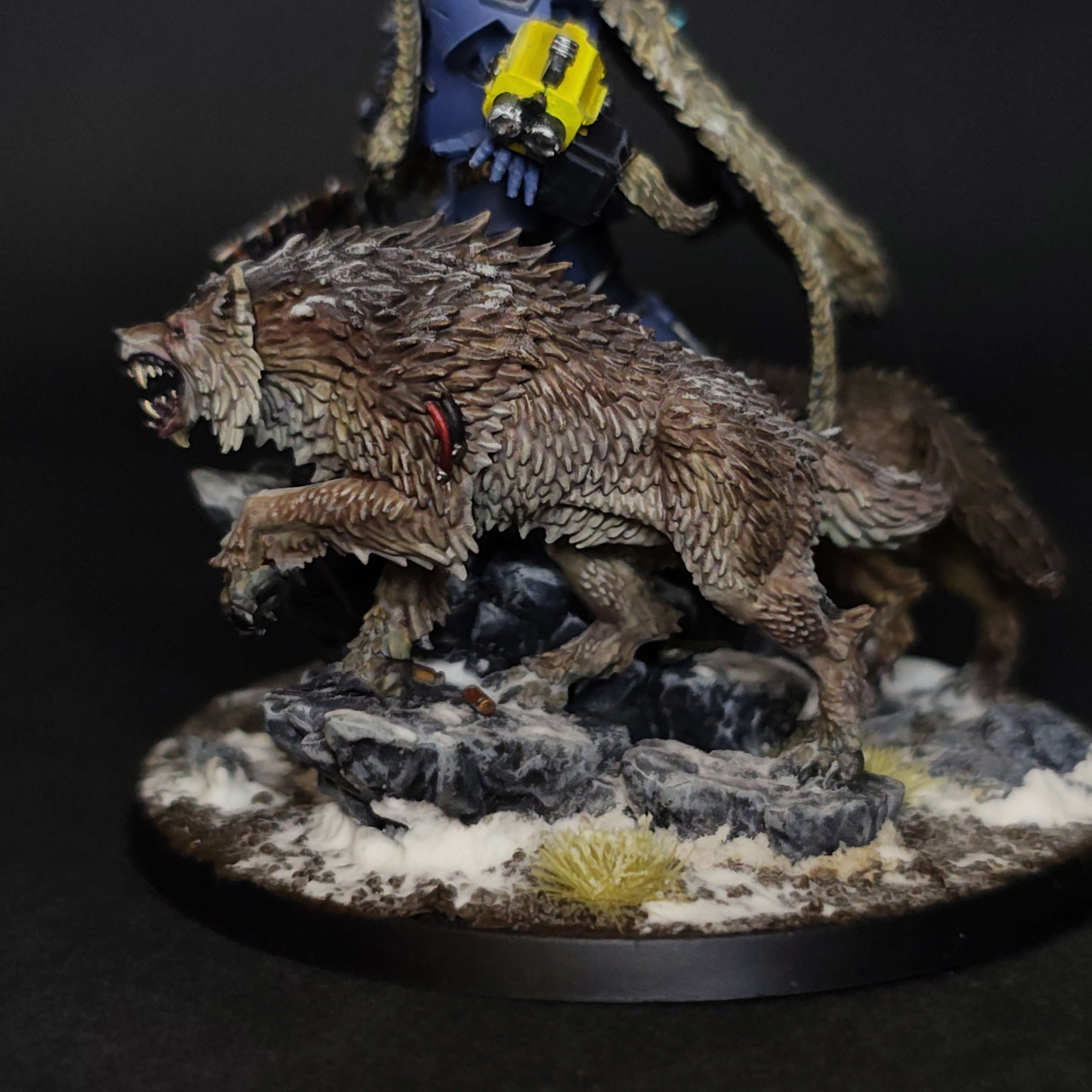 logan-grimnar-character-wolf-1-side2.jpg