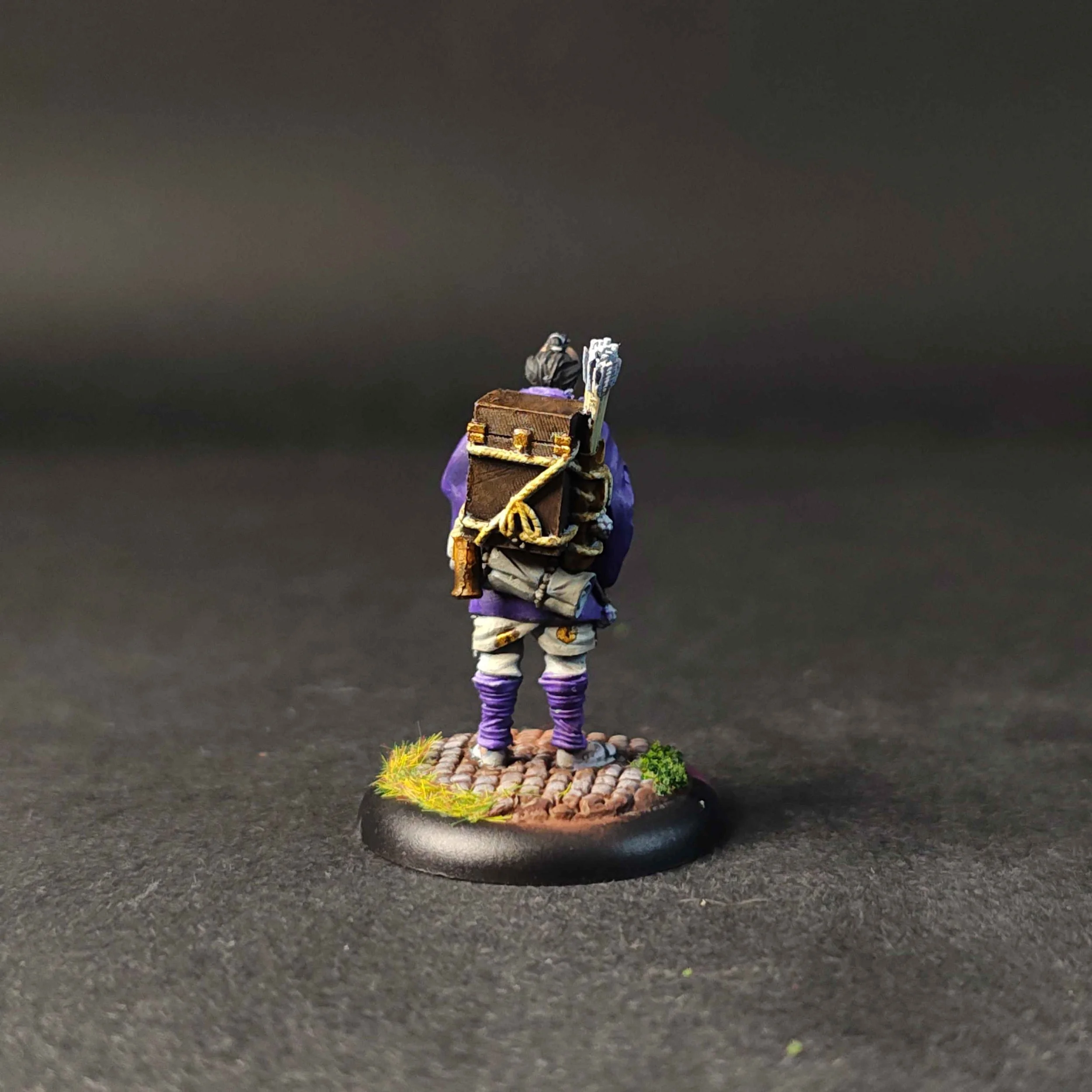Bushido-starter-Taiyo-back.jpg