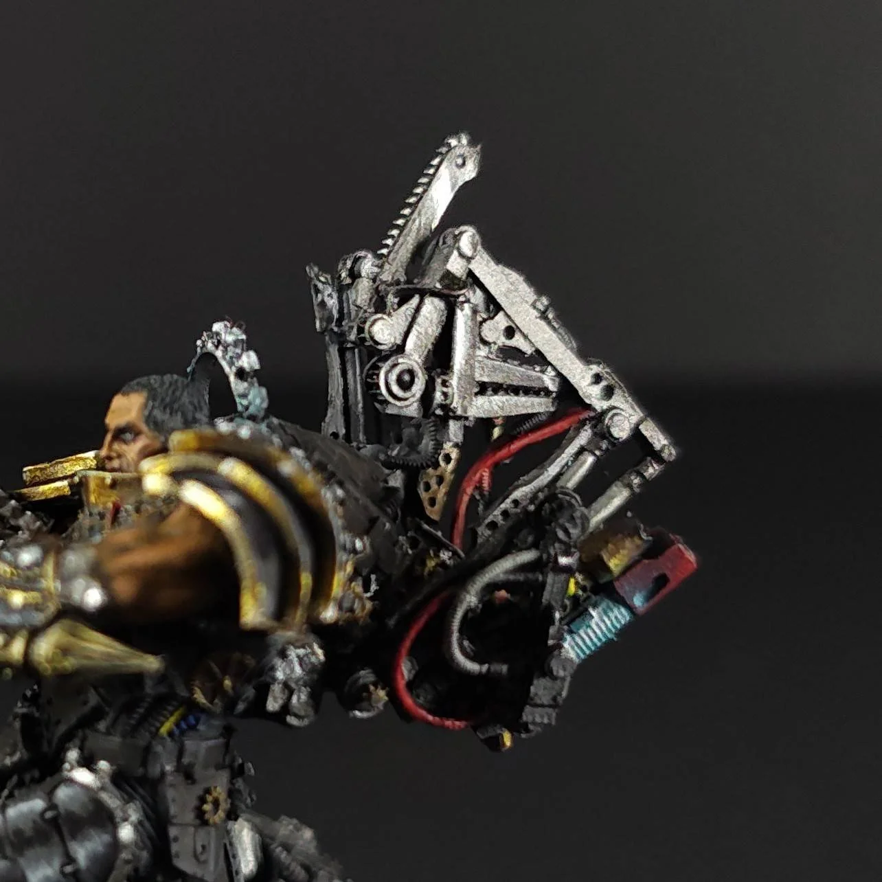 ferrus-manus-showcase-back-closeup.jpg