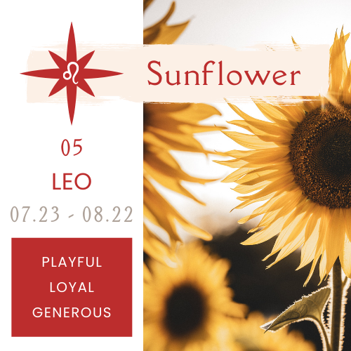 Best Plants for Zodiac Signs NOONLIT SAGE ASTROLOGER Scottsdale