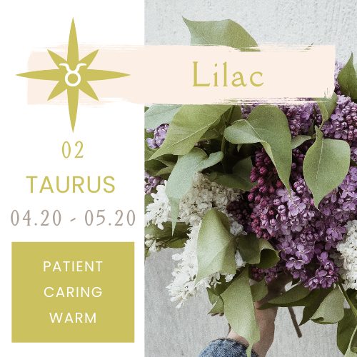 Best Plants for Zodiac Signs NOONLIT SAGE ASTROLOGER Scottsdale