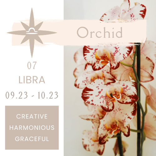 Best Plants for Zodiac Signs NOONLIT SAGE ASTROLOGER Scottsdale