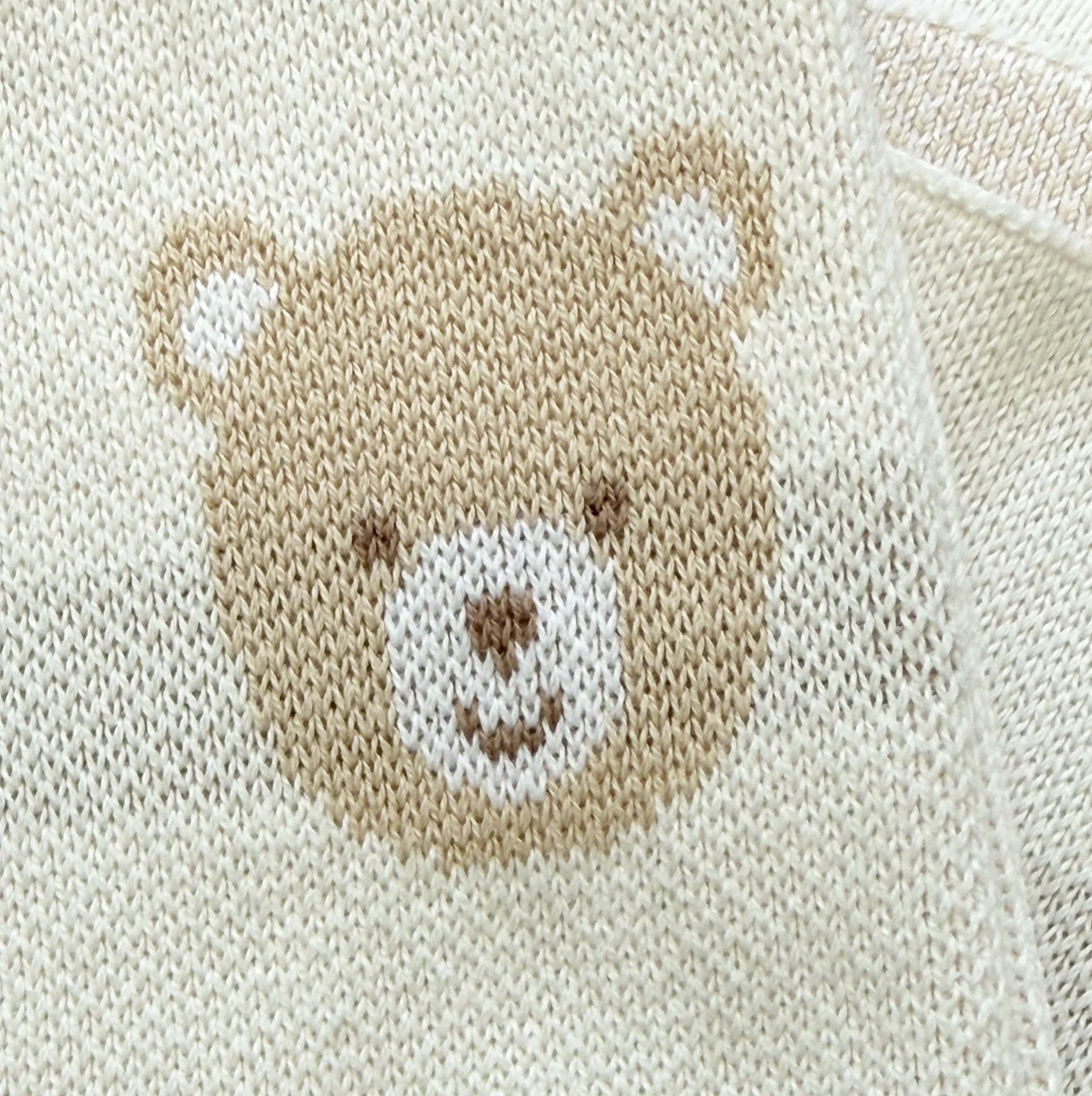 Bex Teddy Blanket.jpg