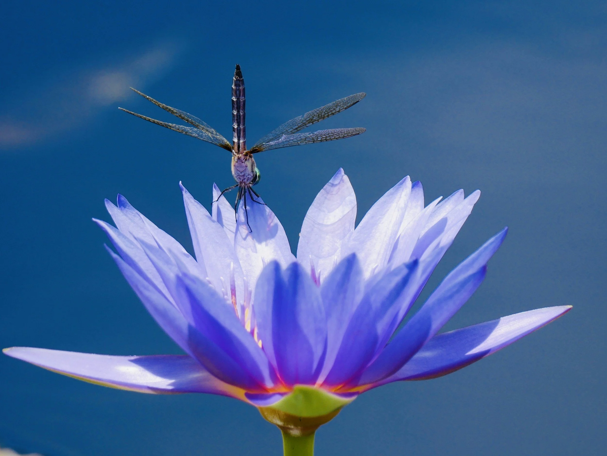 Reiki Level 2