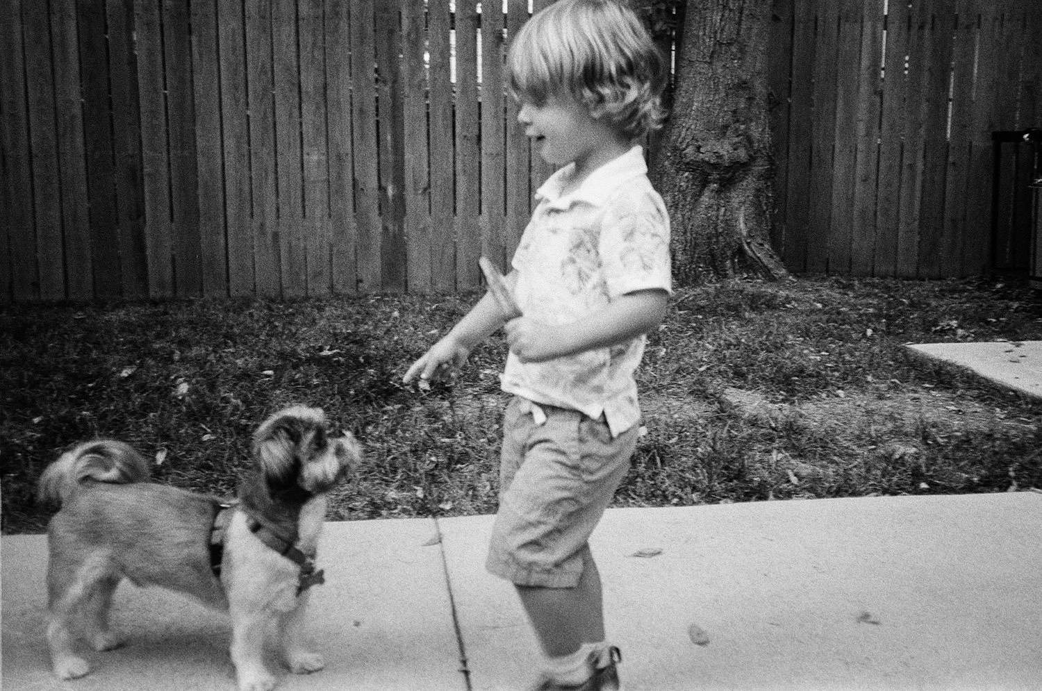 HP5-13.jpg