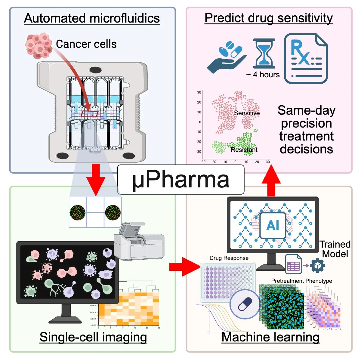 μPharma: A Platform for Rapid, Personalized Prediction of Cancer Drug Response