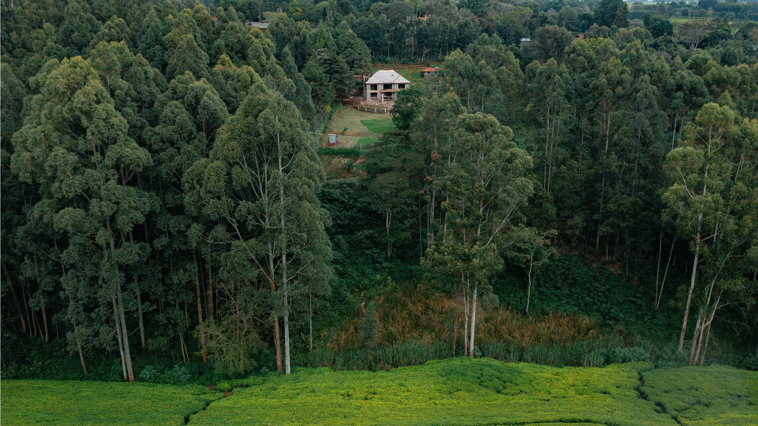 Bush Hammer Tigoni.jpg