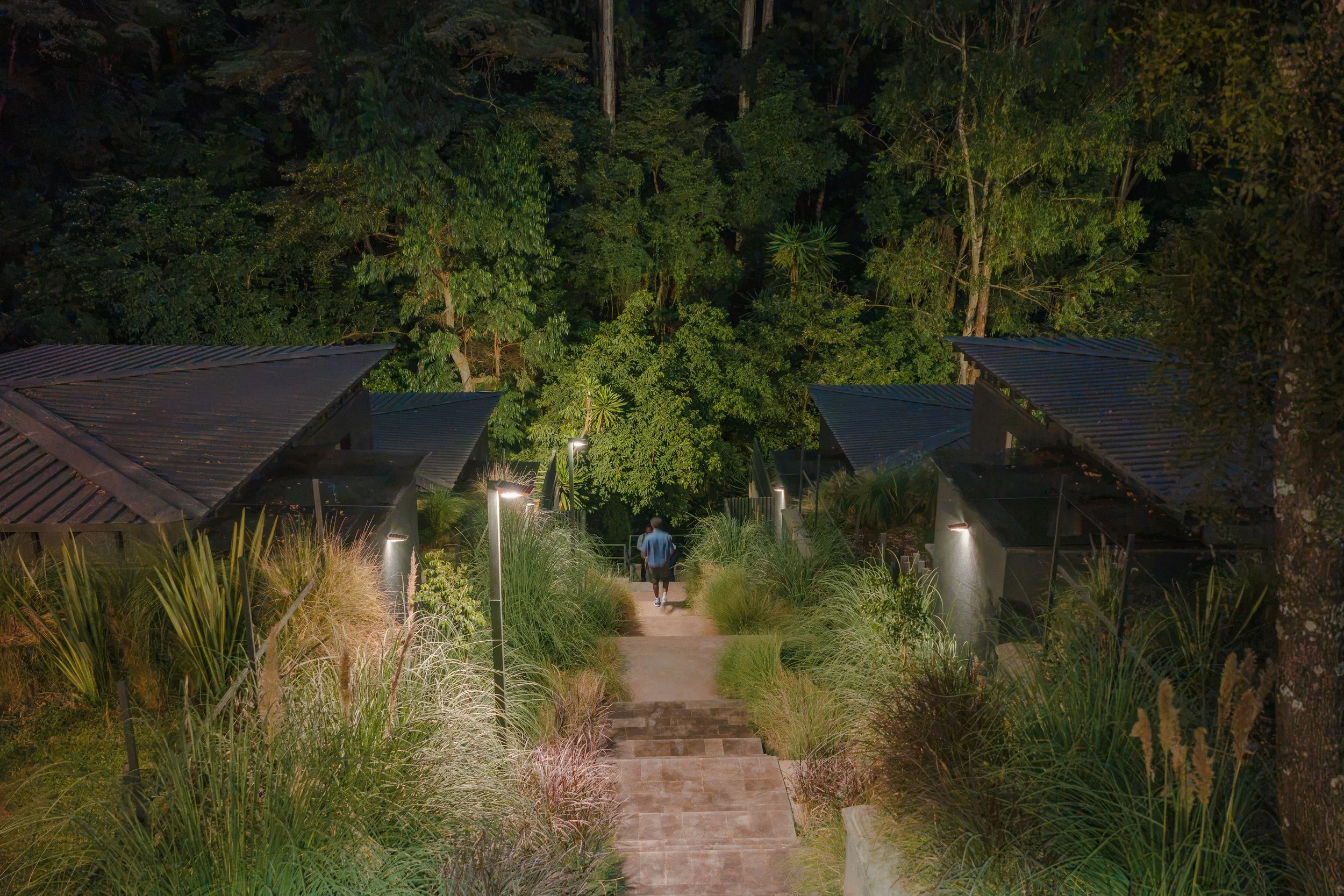 FOREST AT THE DOOR CARBNSTUDIO CREST CORPORATION KEVIN MUNALA LUXURY COTTAGES APARTMENTS PEPONI DESIGN MODERN CONTEXTUAL VIEWS KARURA FOREST SLOPE GROUNDED FUTURISM (12).jpg