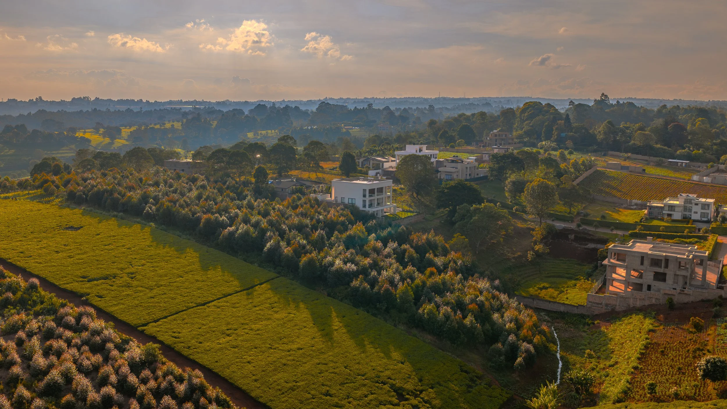 olympus-house-hillside-architect-tigoni-kenya-carbnstudio-kevin munala-luxury-architect (11).jpg