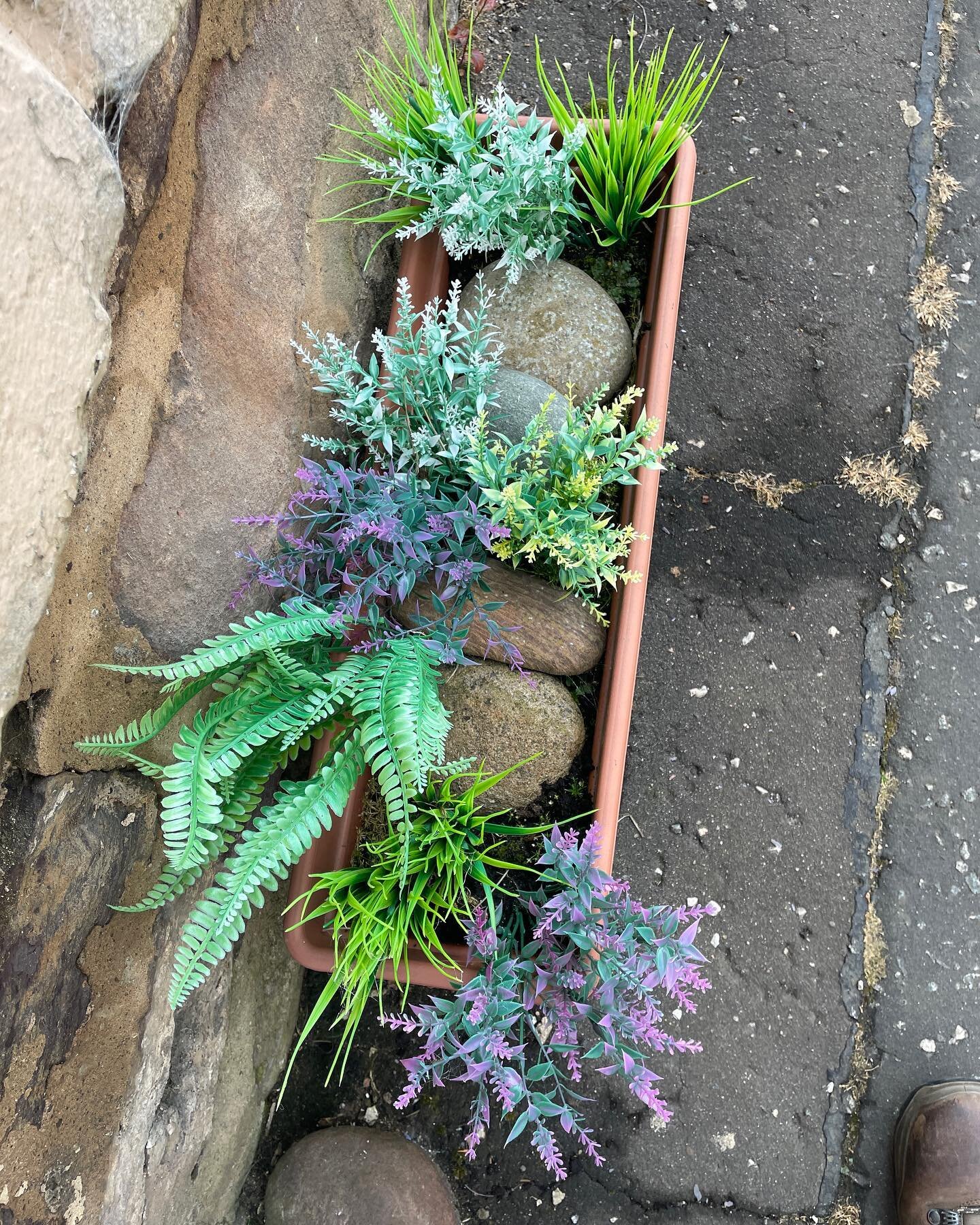 Day 52 on Slow Coast 500 accompanied by Plastic flowers from Methil to Kirkcaldy. #plasticflowers #slowcoast500 #flowerpower #longdistancewalking #coastalflowers