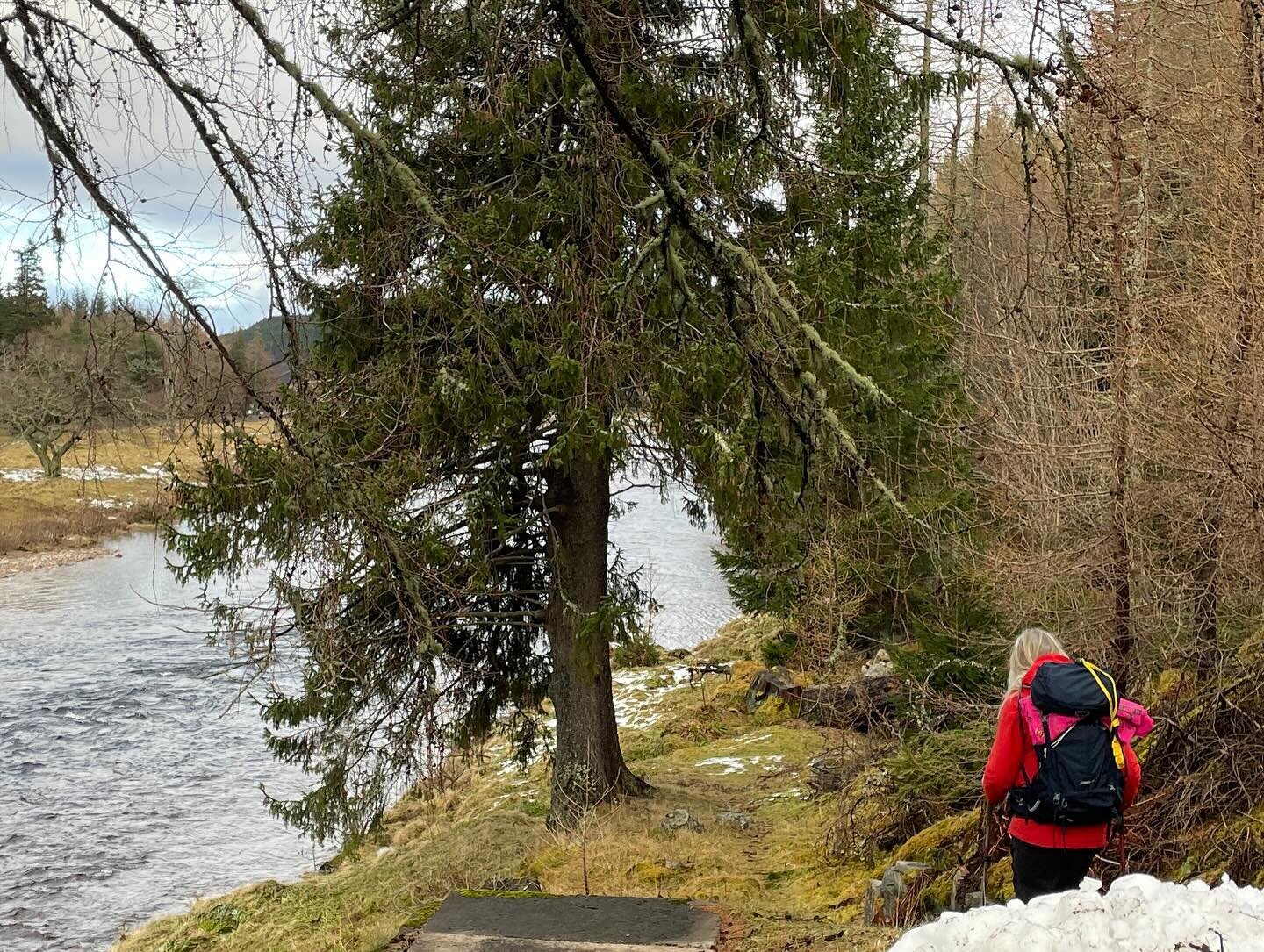 Mountain to Sea: Another week of walking, talking, path making and path stitching in Aberdeenshire to jointly arrive at an opportunity to remember, bringing together hope and healing through a long path and it&rsquo;s music.
I am delighted to say, th