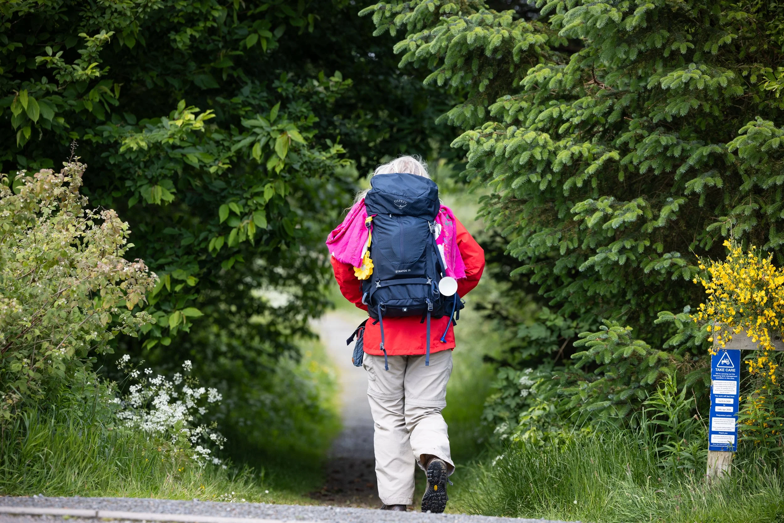 Mašarto Award shortlist