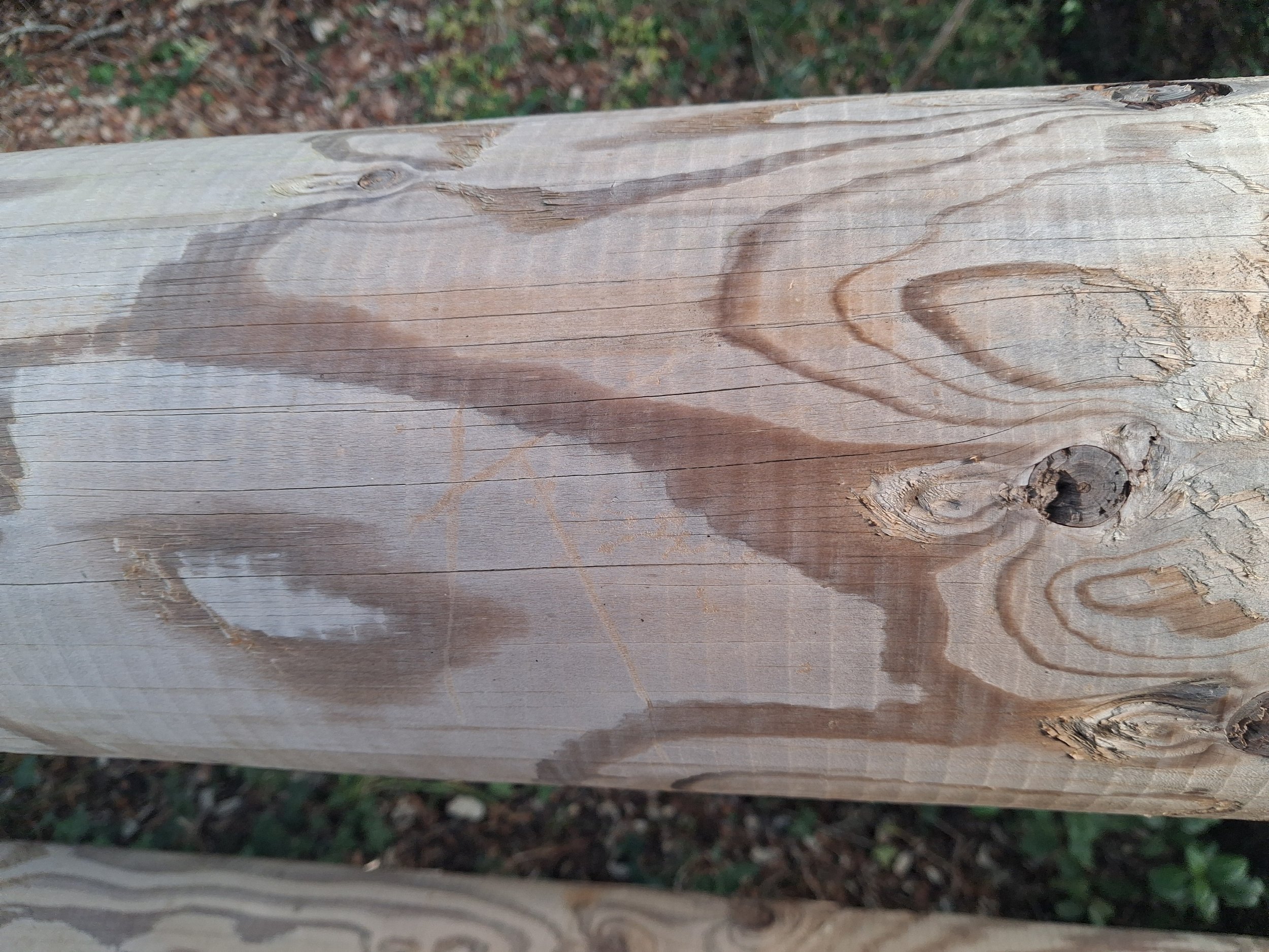 Walking Assembly: Catalunya 9-13 May 2026