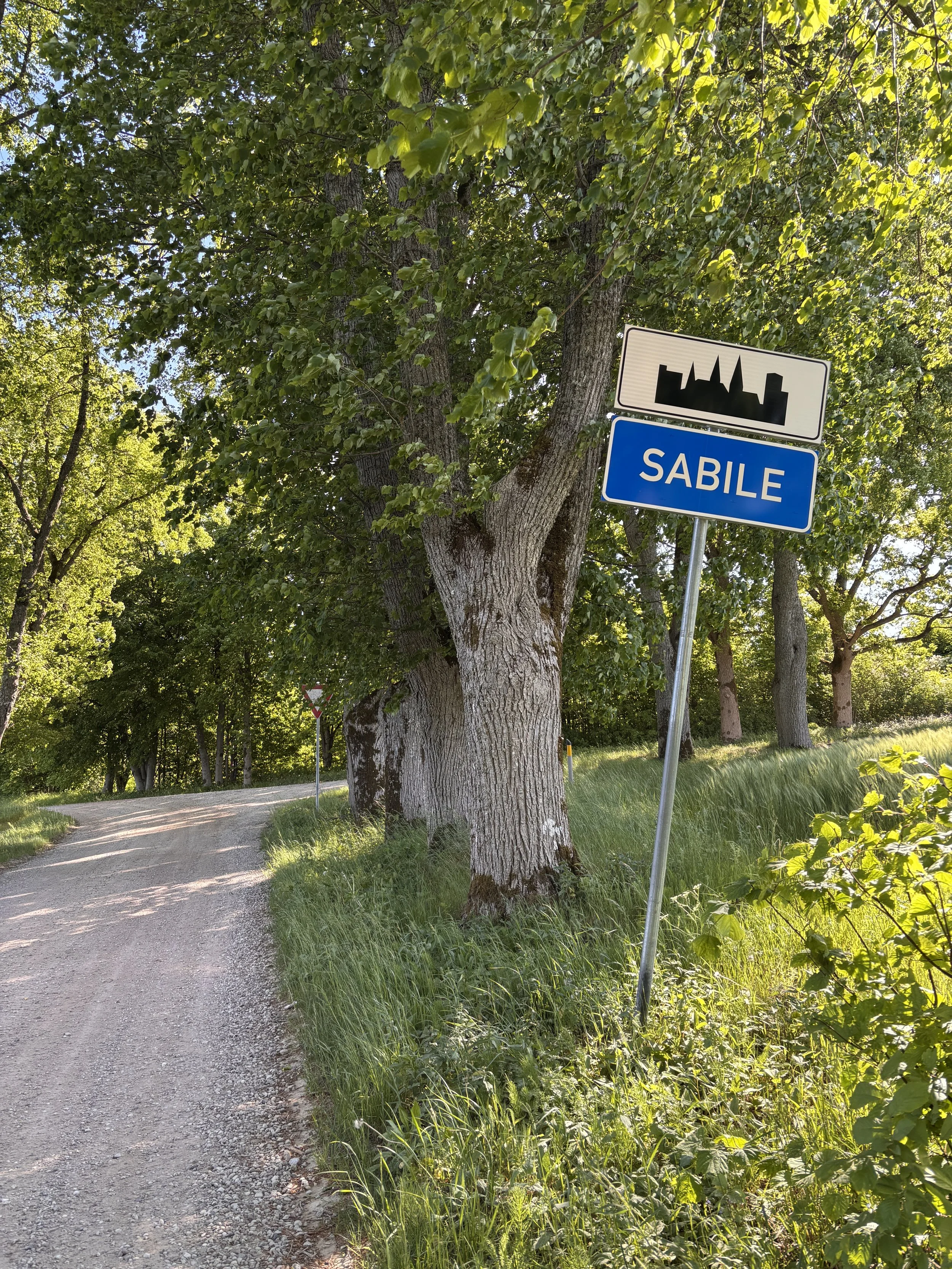 IMG_3495.JPG