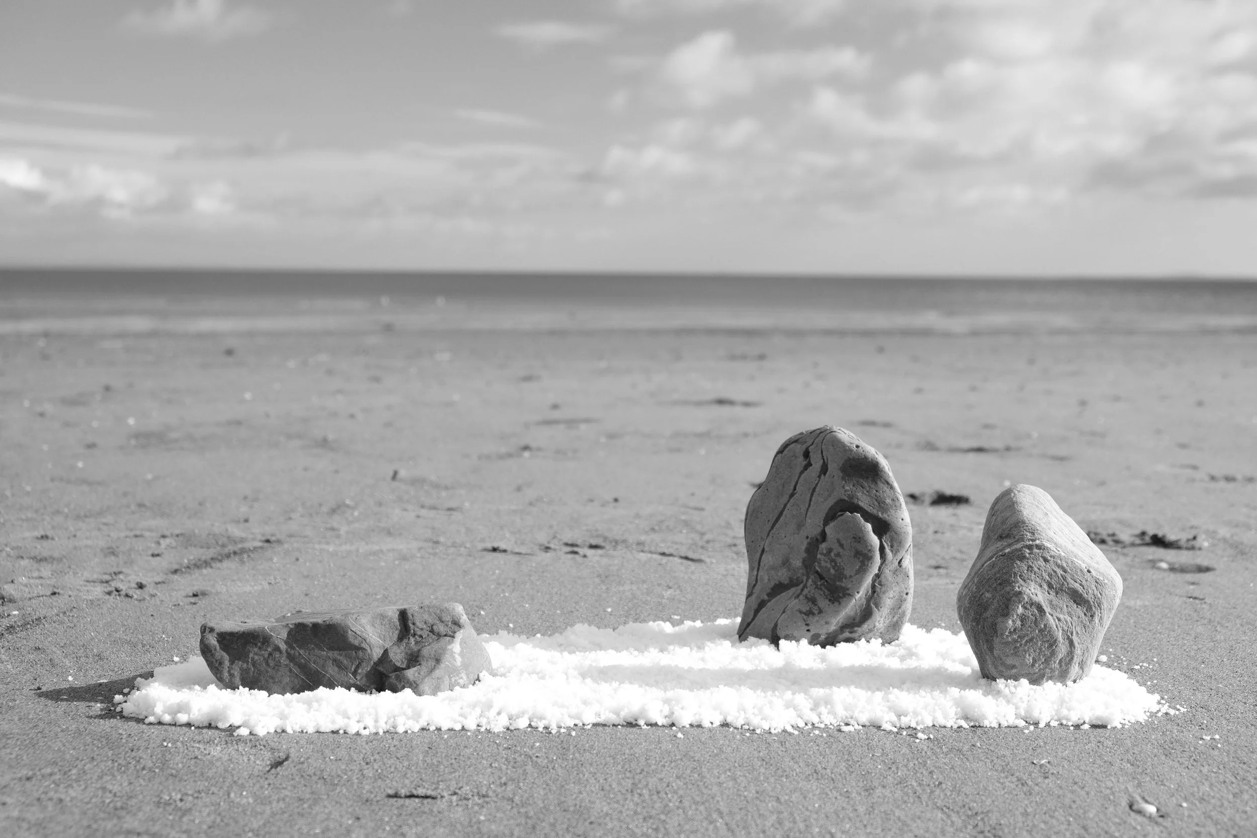 Lead Image - Transience 1.JPG
