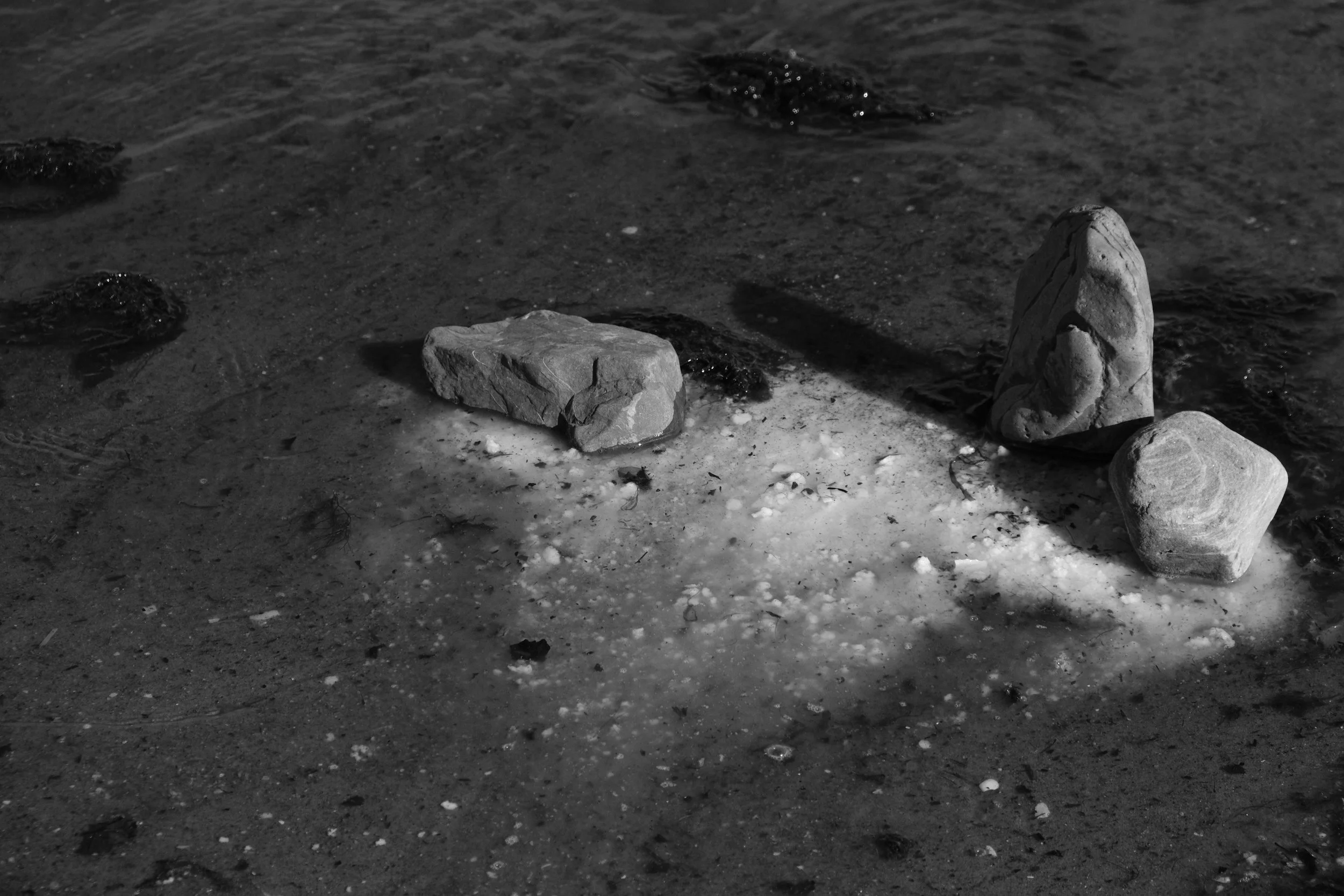 Transience 2.JPG