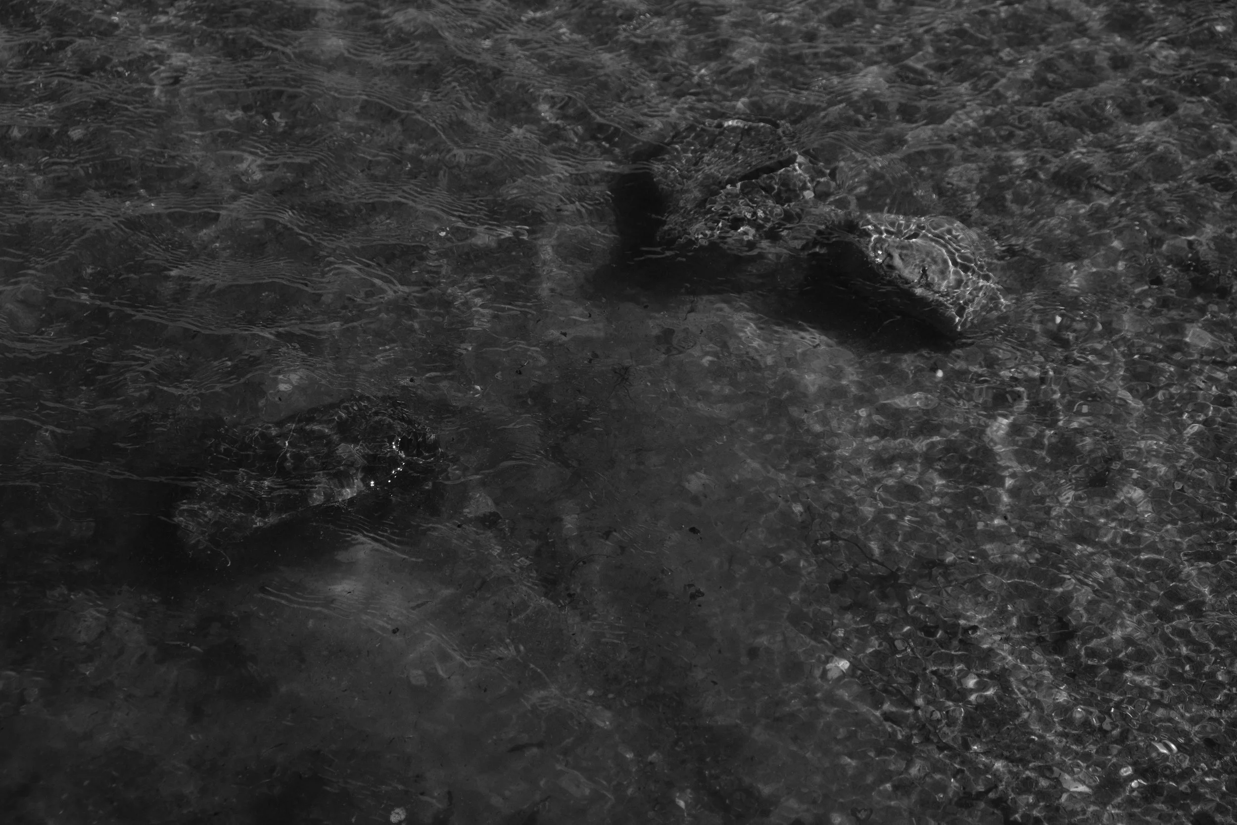 Transience 3.JPG