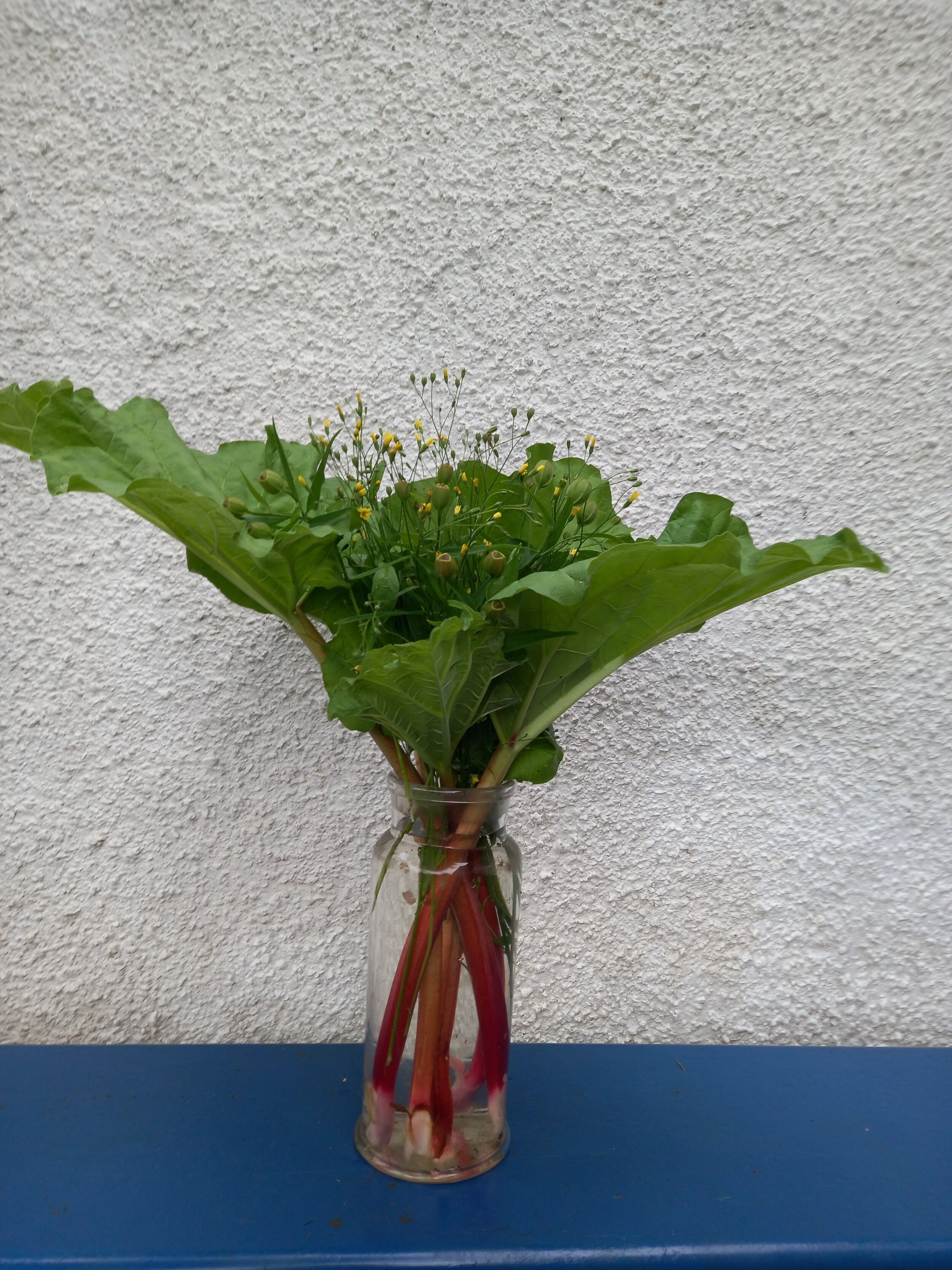 Rhubarb Rhapsody