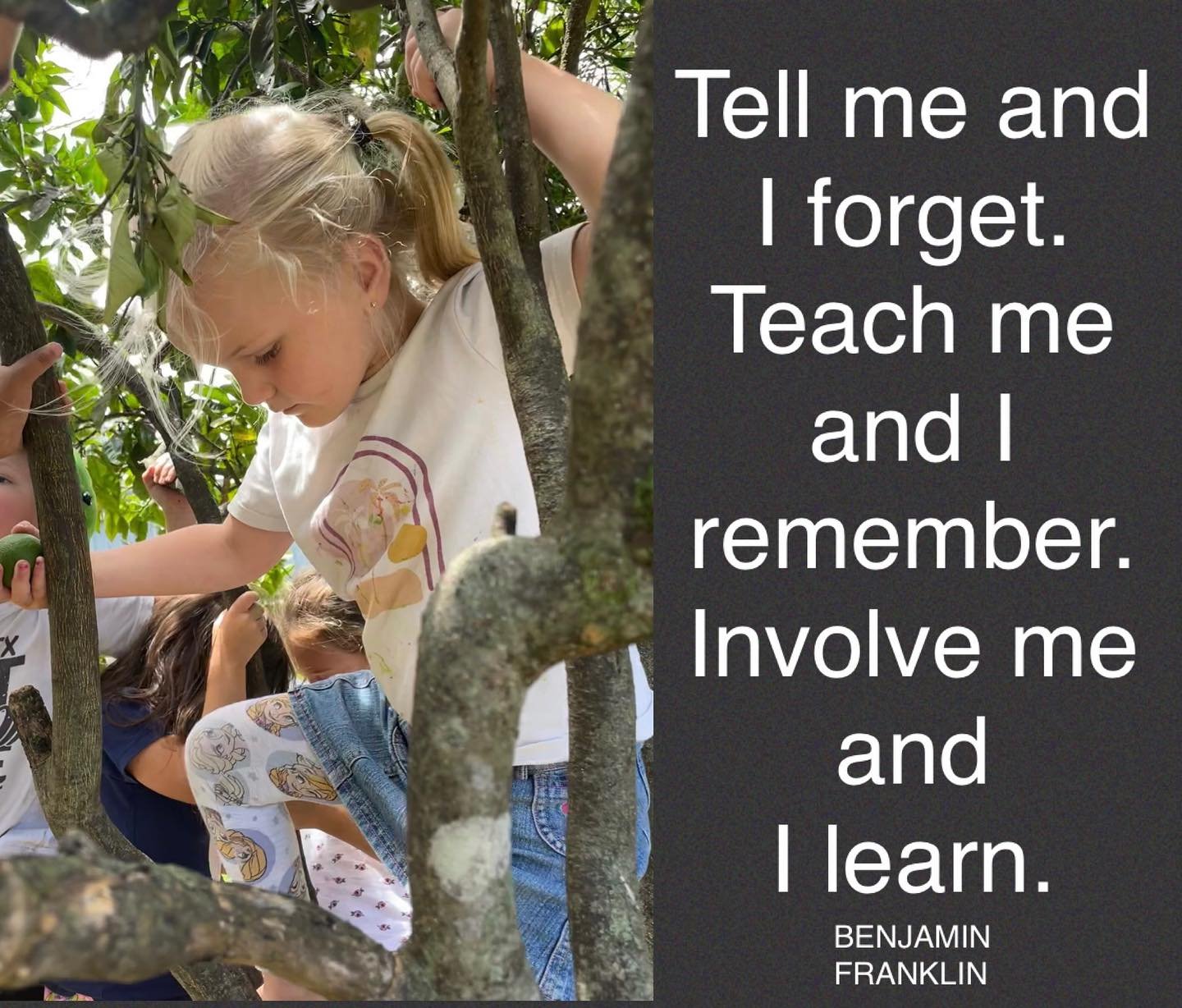 Children&rsquo;s active involvement changes what they know, can do, value and transforms their learning.🌿