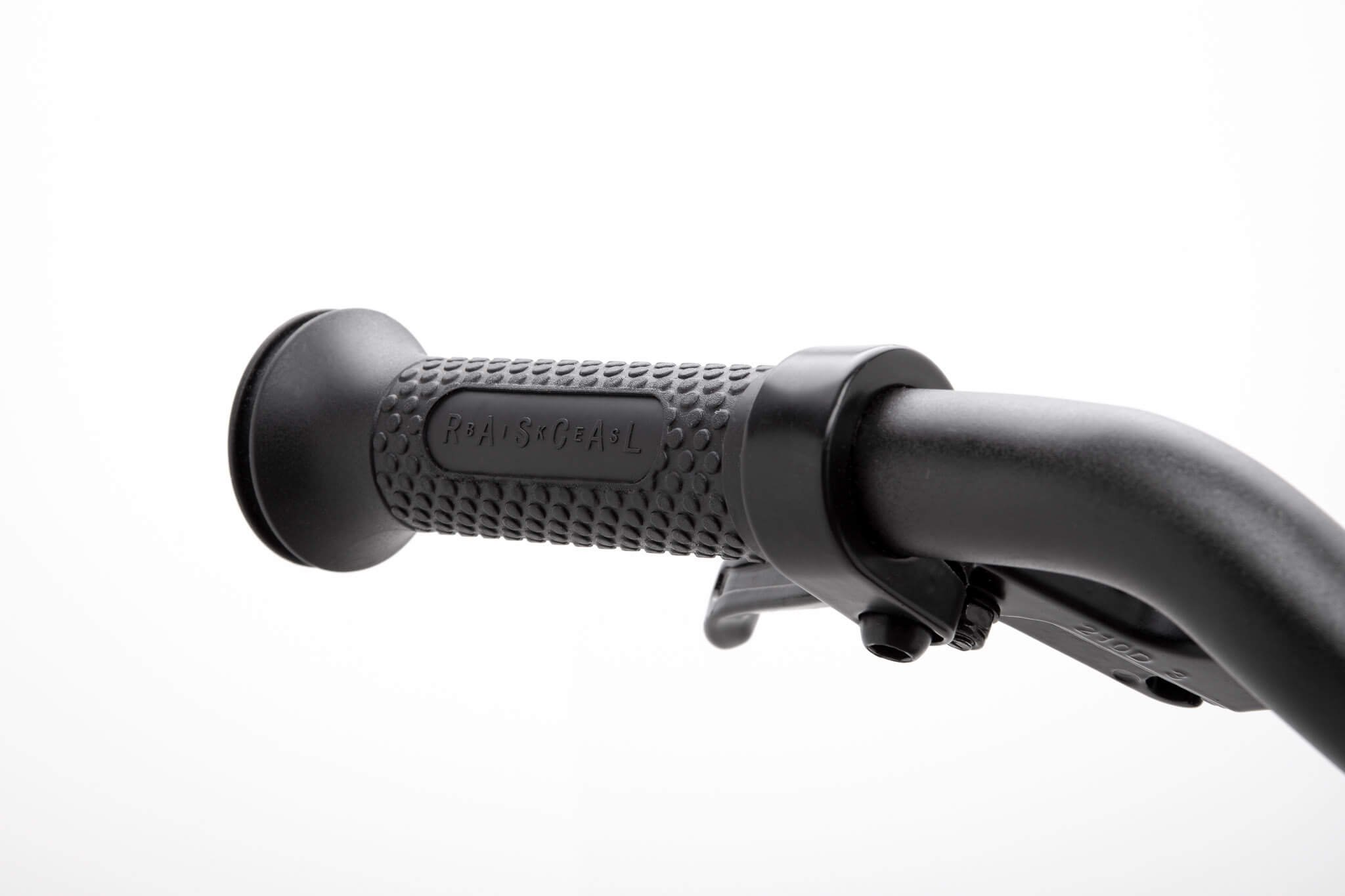 Rascal-Bikes-detail-3.jpg