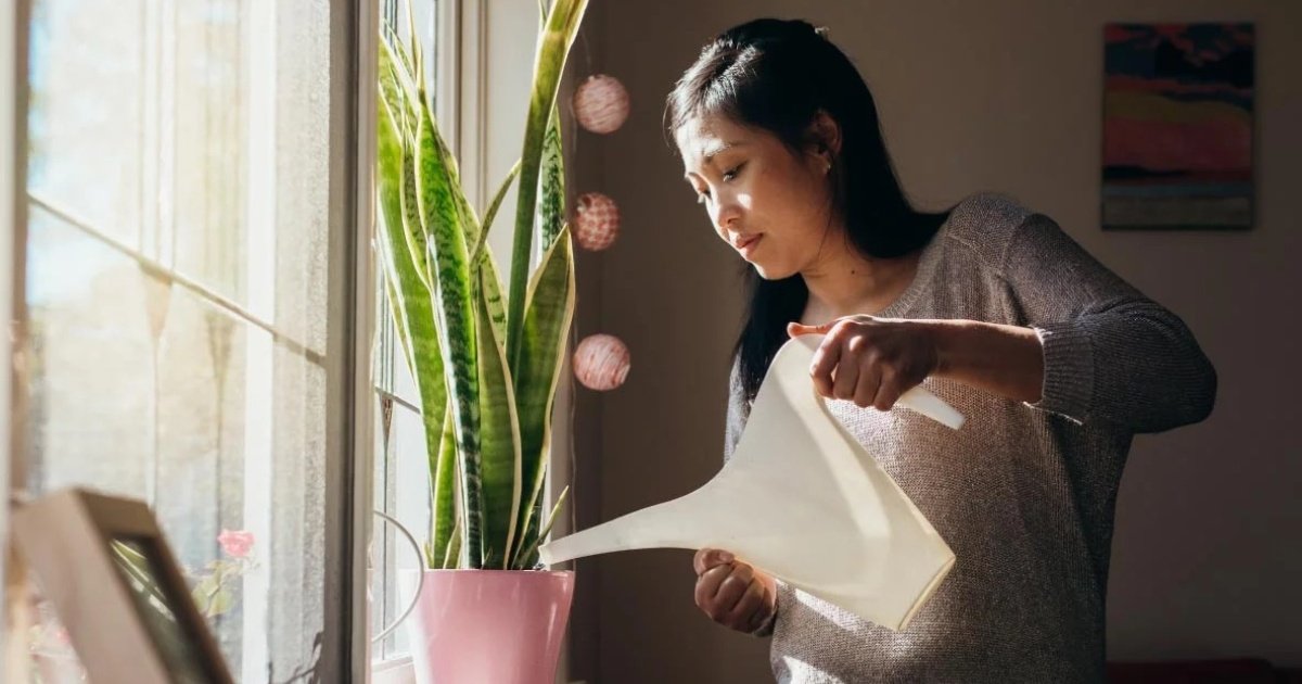 How to help your super grow faster