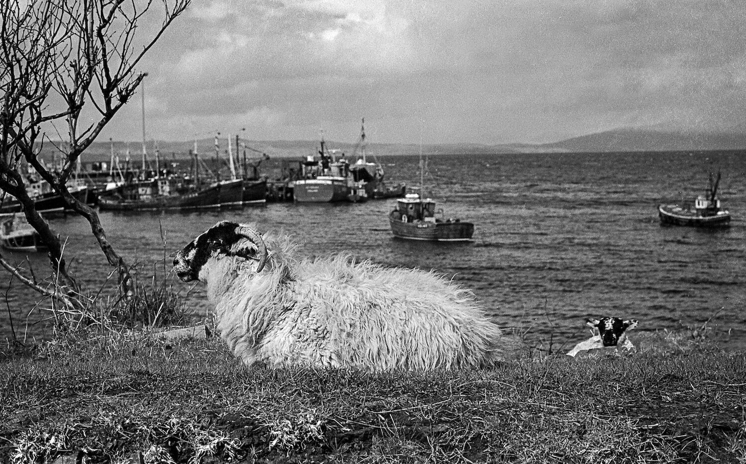 Web Mallaig 1982-14.jpg