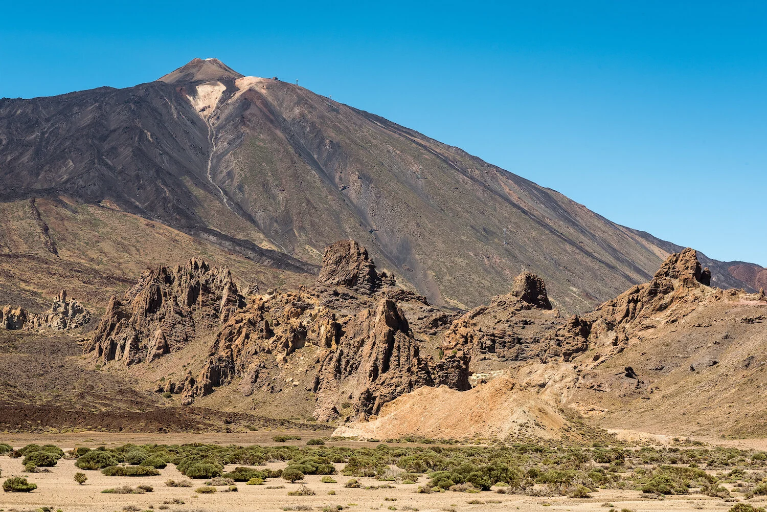 Web El Tiede 1_Aug_2015-1.jpg