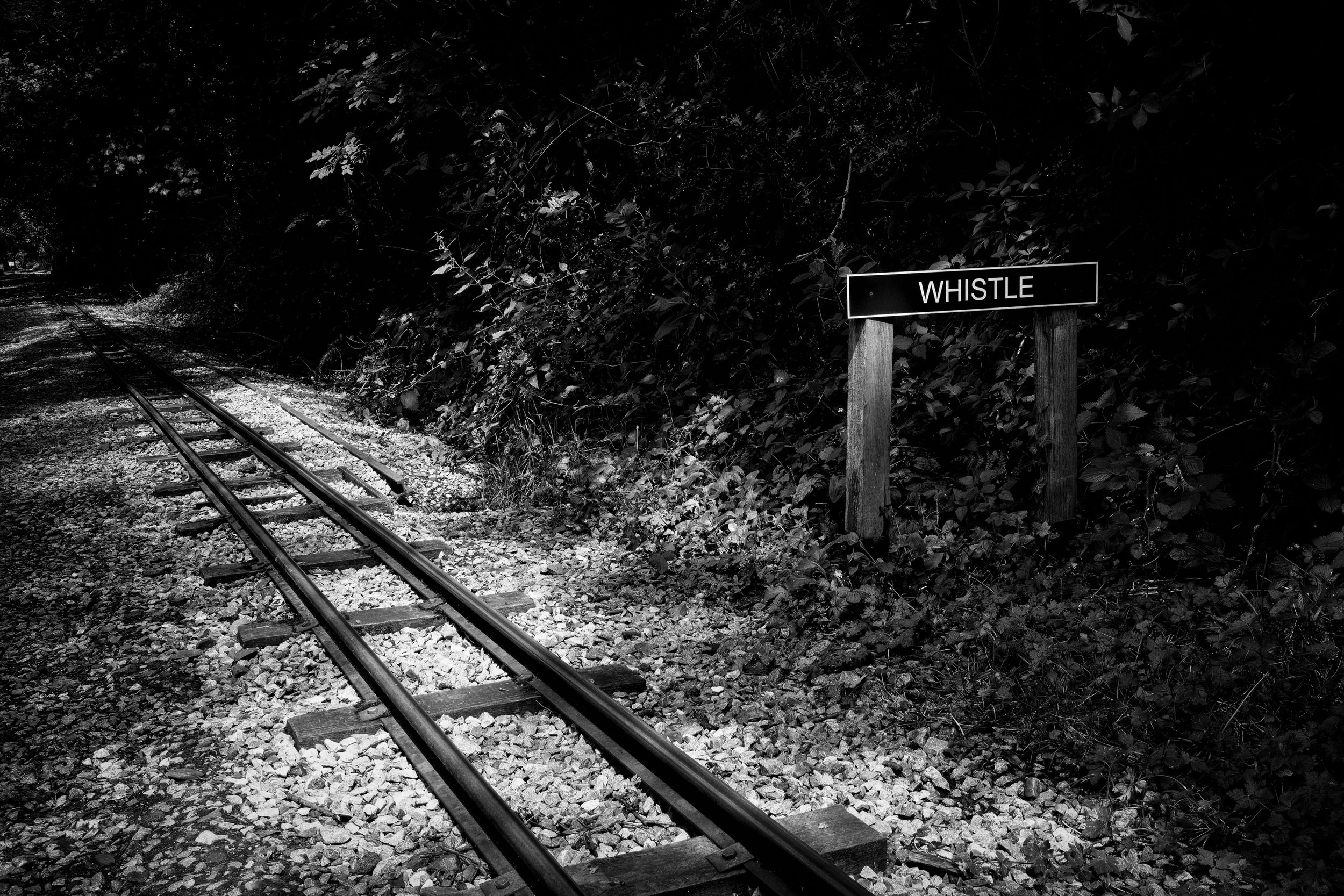 Rudyard Lake 260723 - 001 - LoRes.jpg