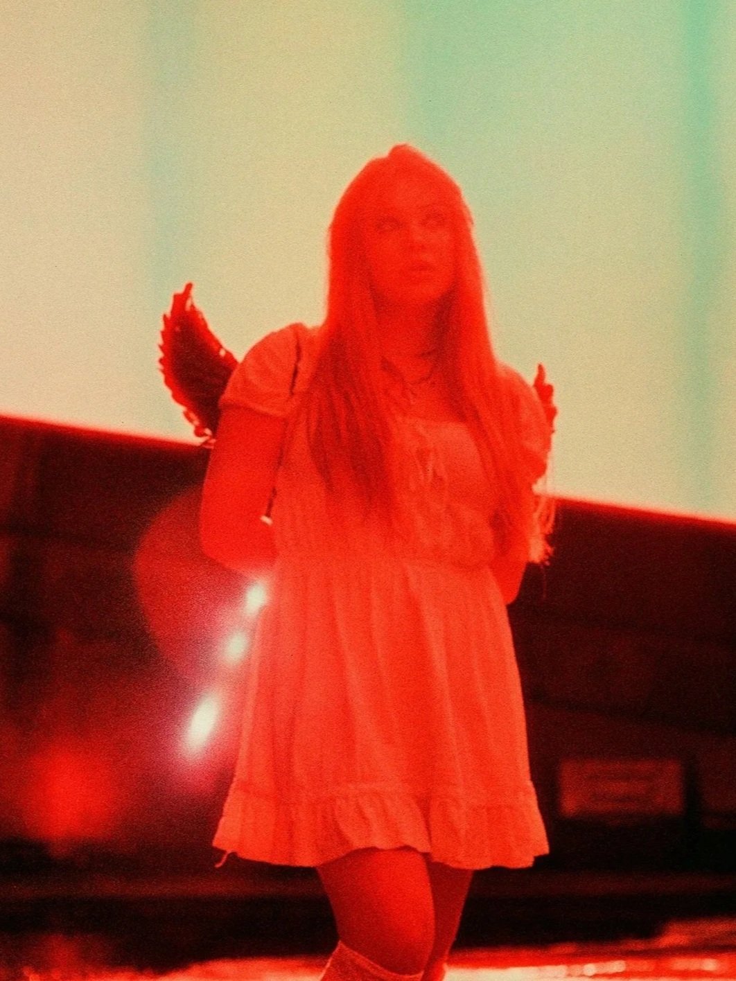 AvaFilm1sm.jpg