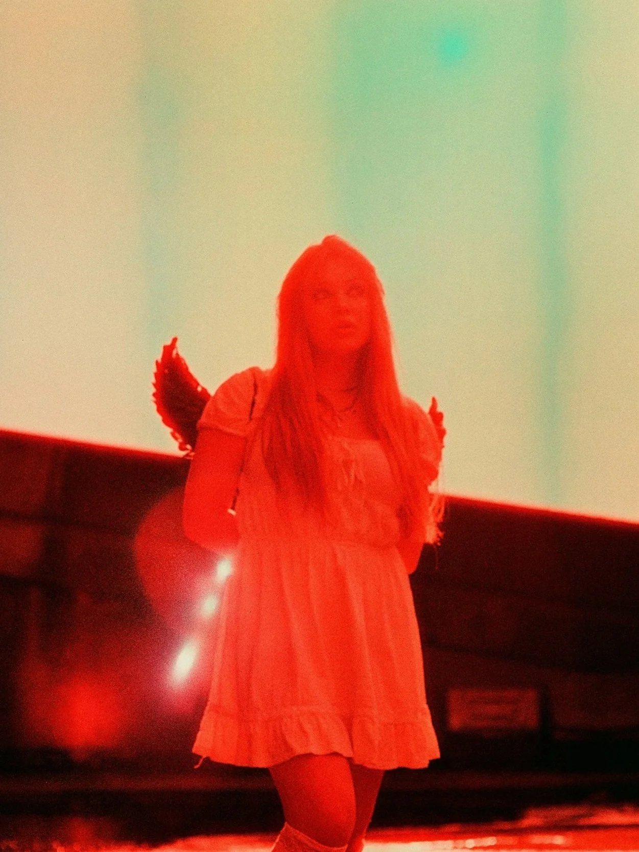 AvaFilm1sm.jpg