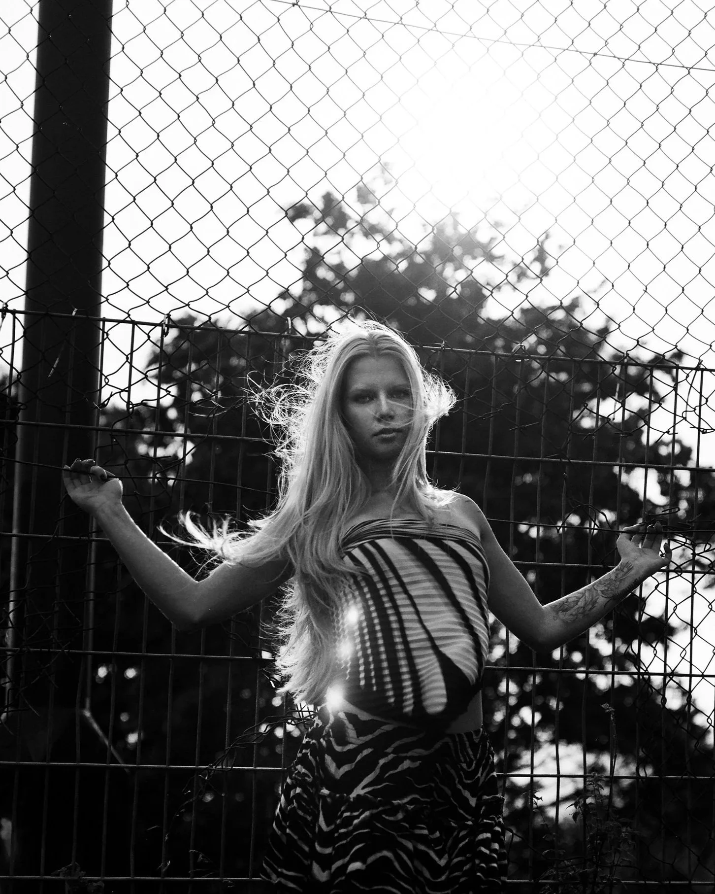 bwfilm6sm.jpg