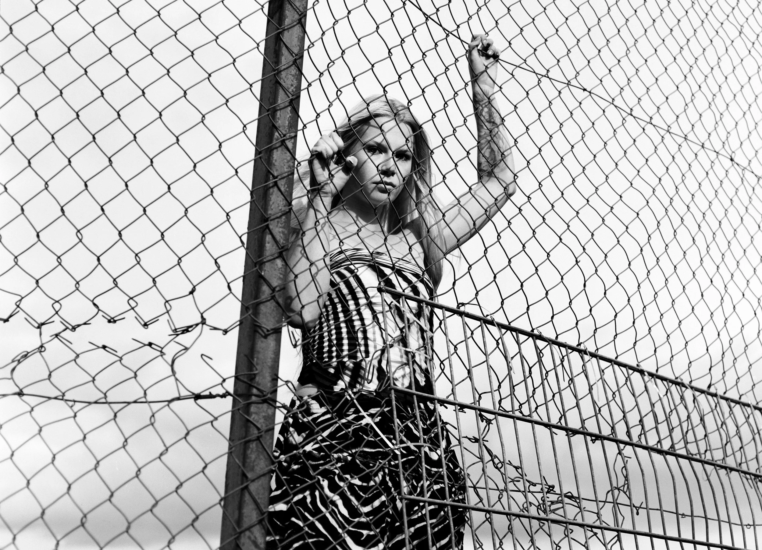 bwfilm5sm.jpg