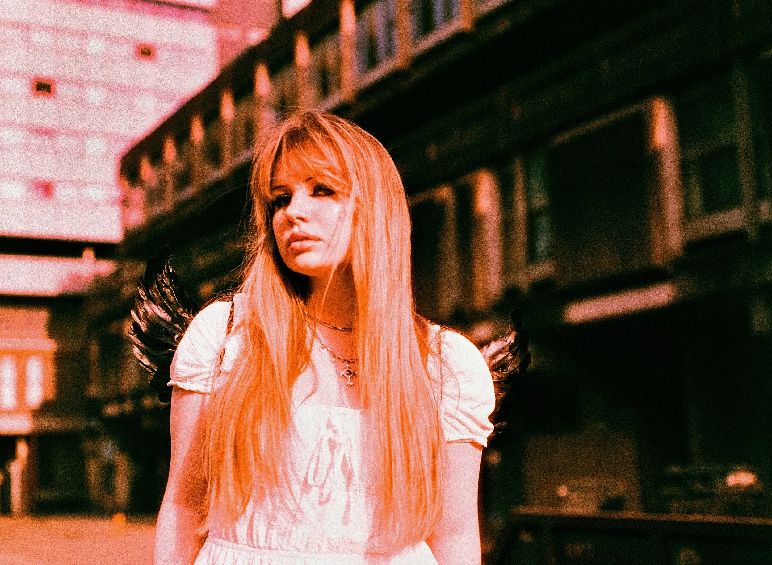 AvaFilm11sm.jpg