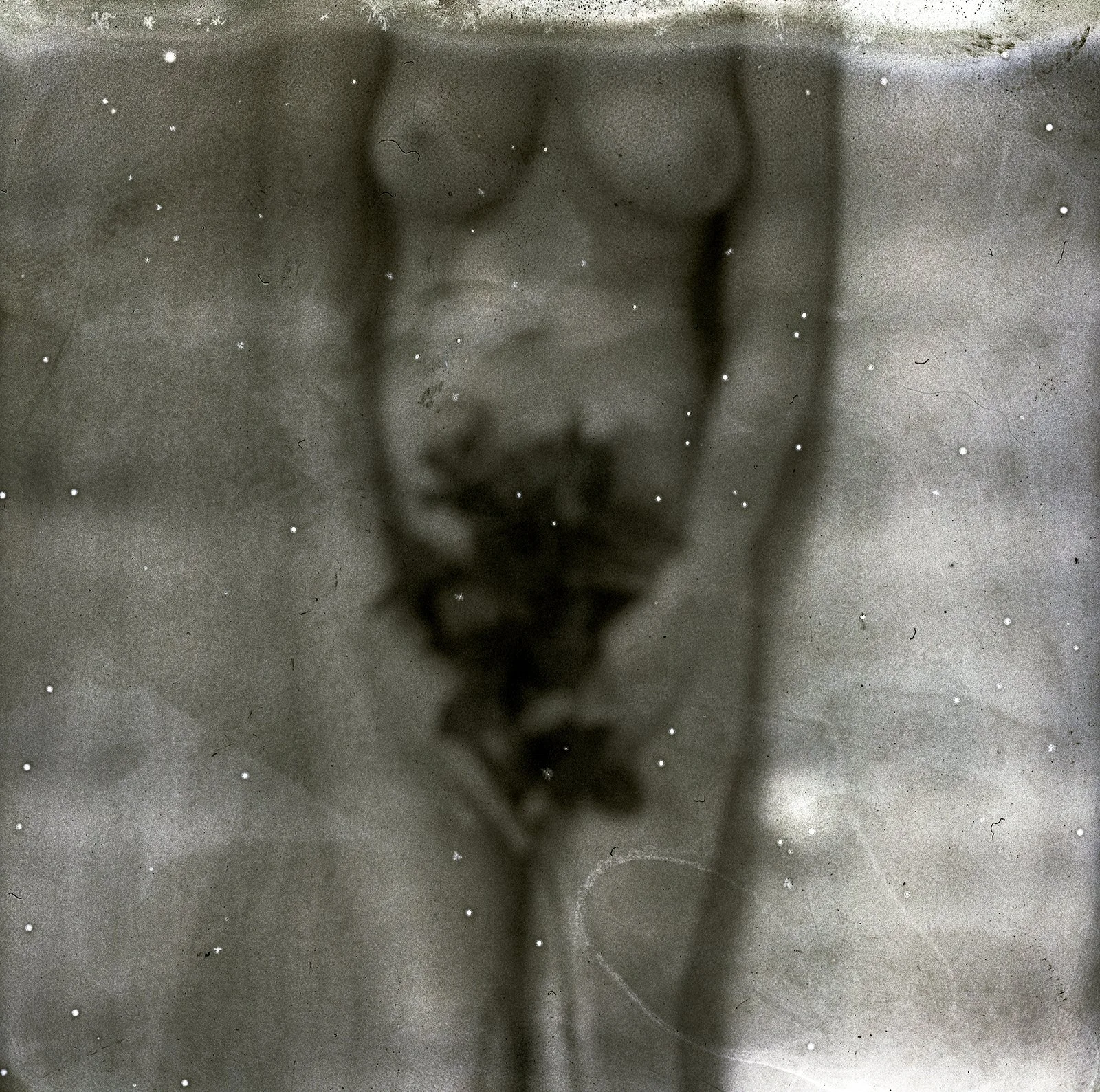 Bloom where you are planted (1)