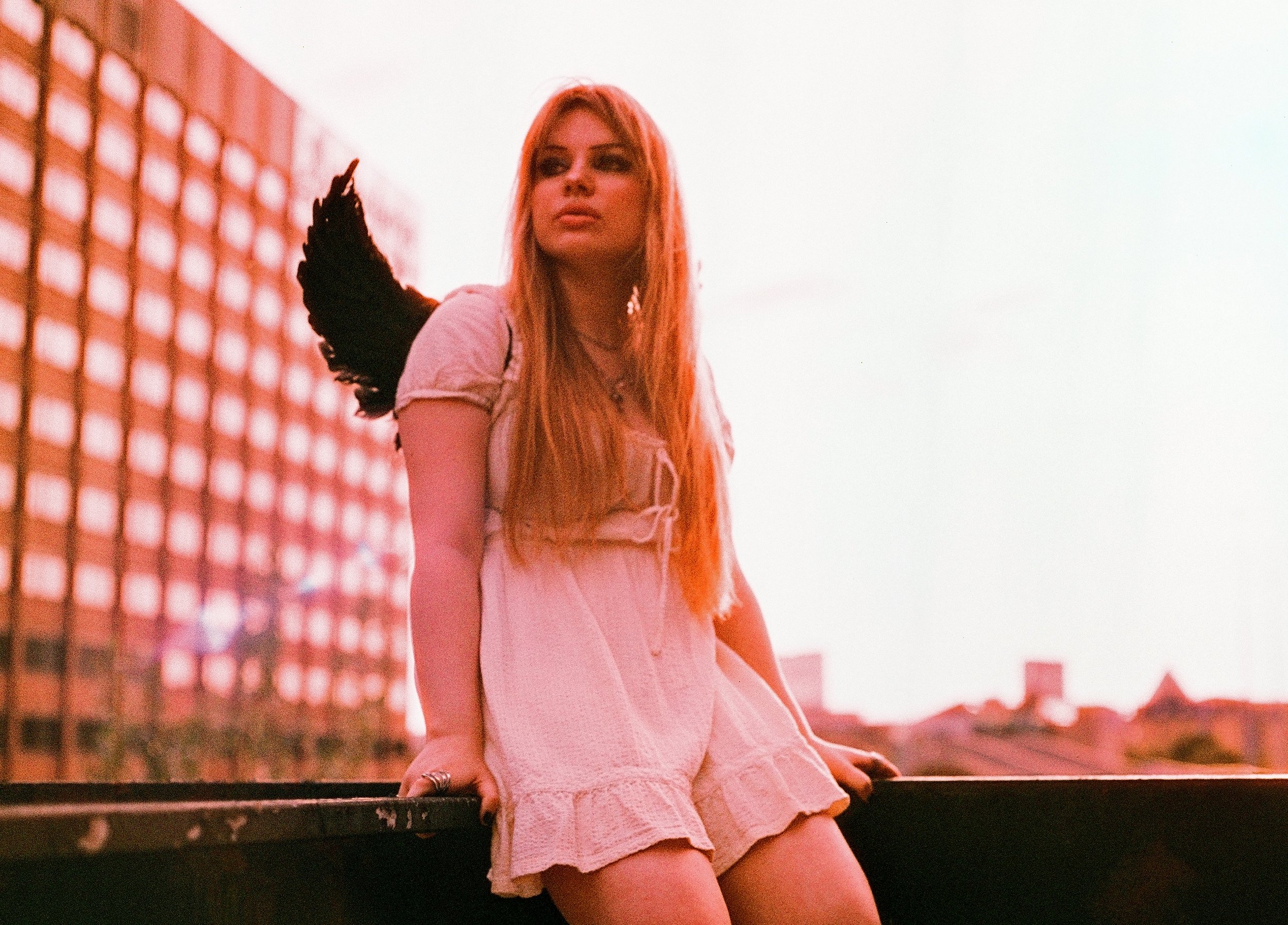 AvaFilm5sm.jpg