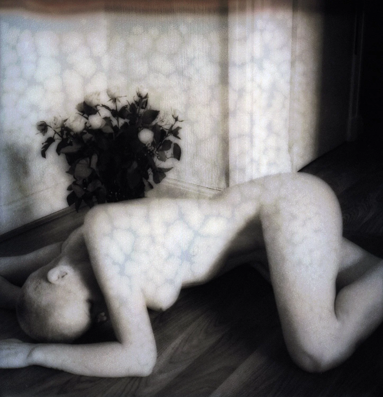 Bloom where you are planted (2)