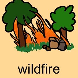 s_noun_safety and emergency situations-natural disasters_wildfire_.PNG