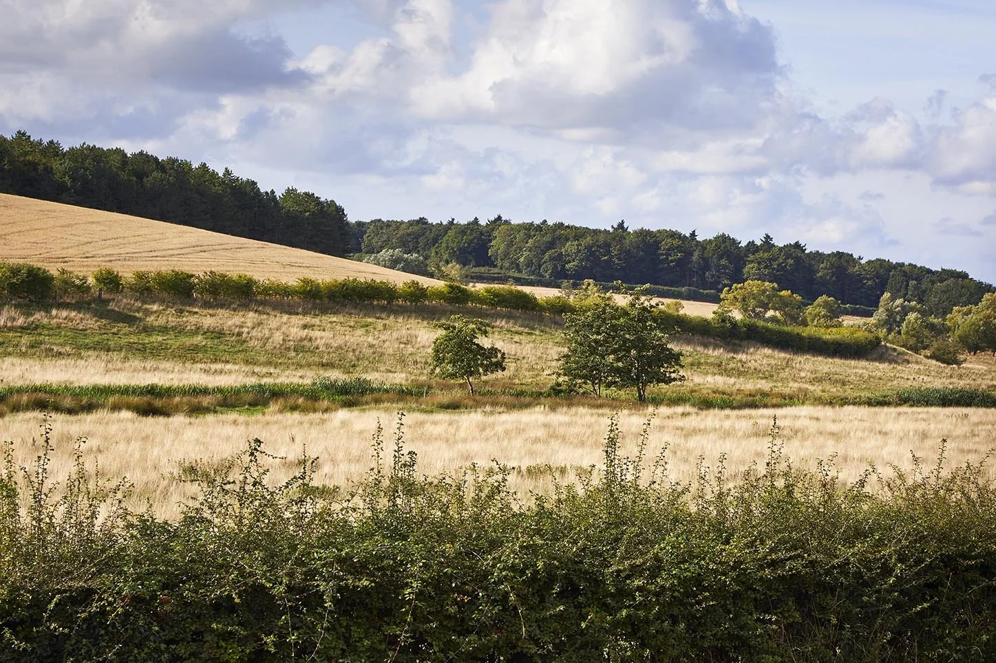 SLOW DOWN DAYS       October 2026