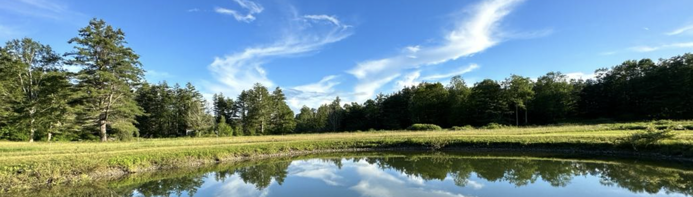 Screen Shot 2024-02-04 at 11.45.38 AM.png