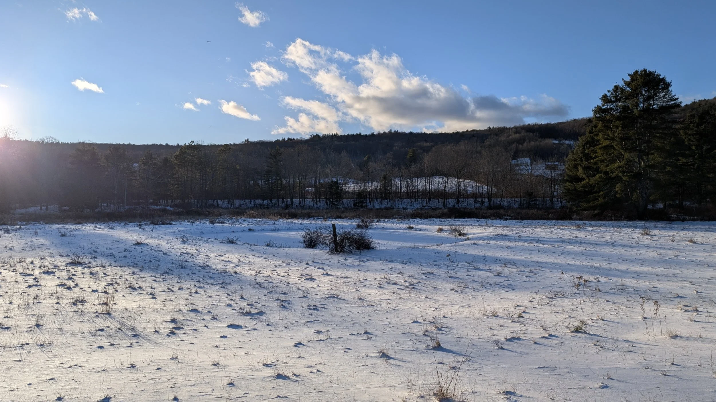 PXL_20260101_203904834 (1).jpg