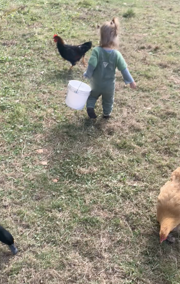 Screen Shot 2026-03-16 at 8.09.09 AM.png