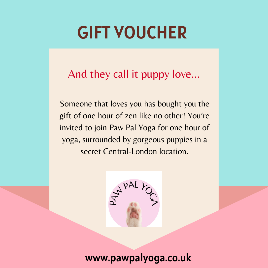 Paw Pal Yoga London