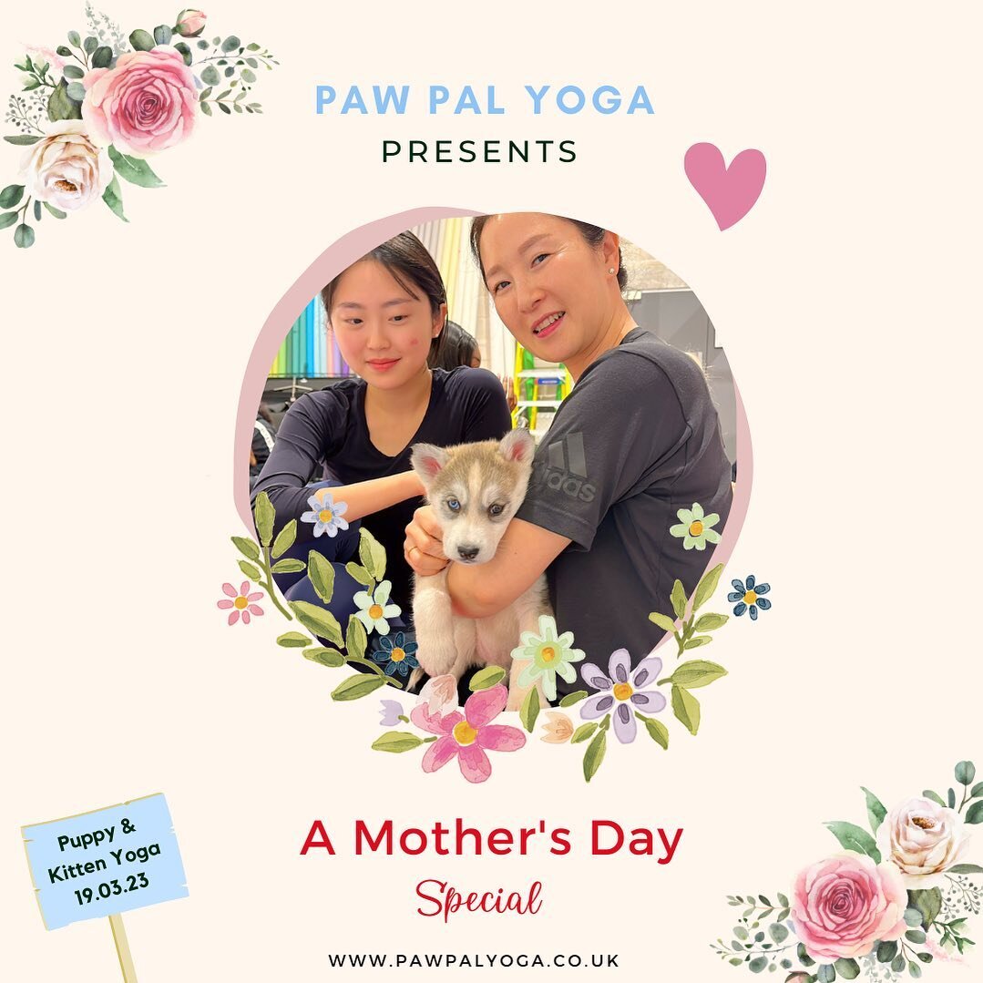 To celebrate Mother&rsquo;s Day, we are hosting separate Puppy &amp; Kitten Yoga classes on Sunday 19th March 2023👩&zwj;👧&zwj;👧❤️🐶😻

Tickets are available directly at: www.pawpalyoga.co.uk/book-tickets-1