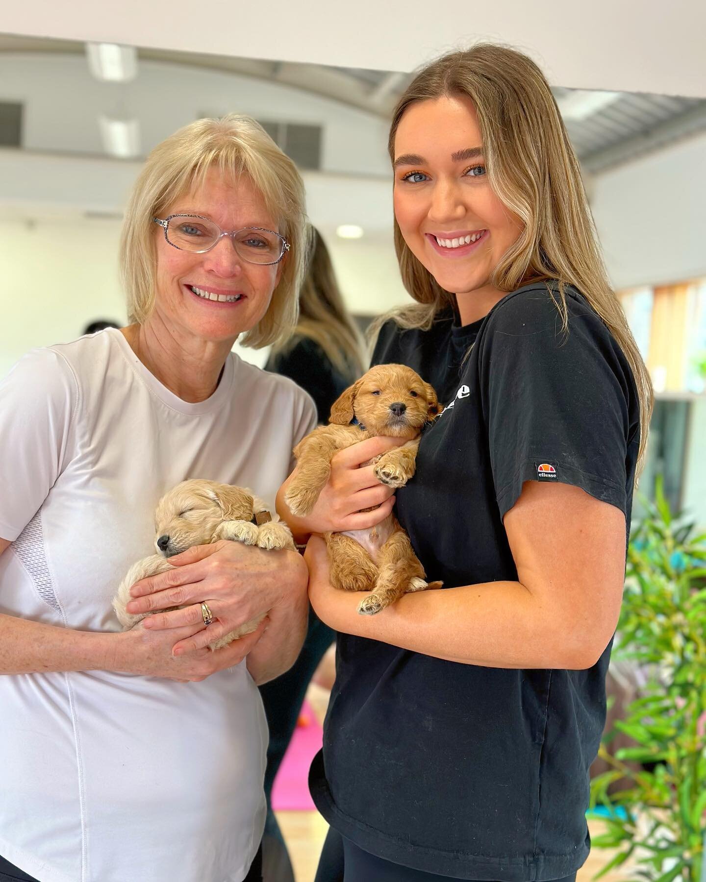 It was so special to see so many Mothers being celebrated at our special Mother&rsquo;s Day event on Sunday! 🥹&hearts;️

Here are just a few of our favourite photos of Mums being celebrated with their children, featuring our Mini Labradoodles 🐶🐾