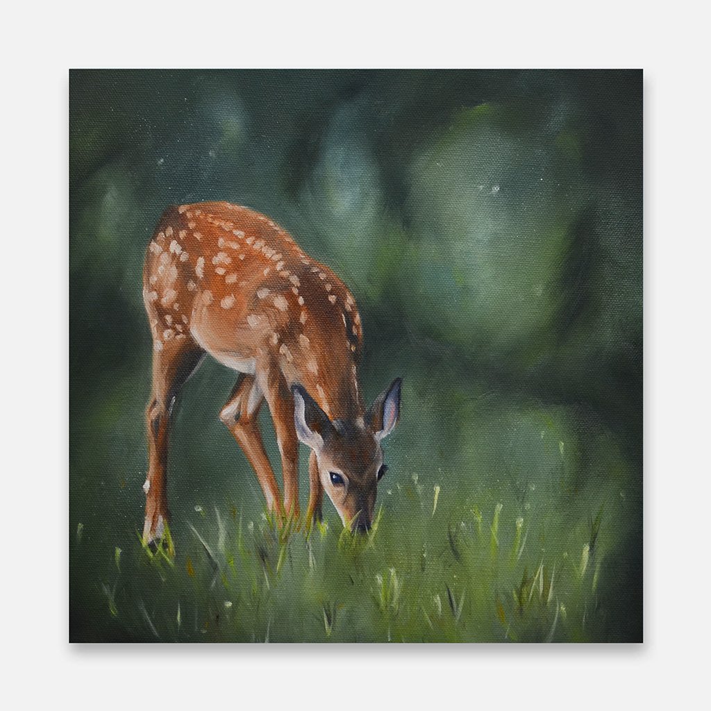Inspired by the deer that frequent my yard, this is &quot;Serenity&quot;, 12&quot;x12&quot;, oil on canvas, $450
www.sarahbergeronartist.com