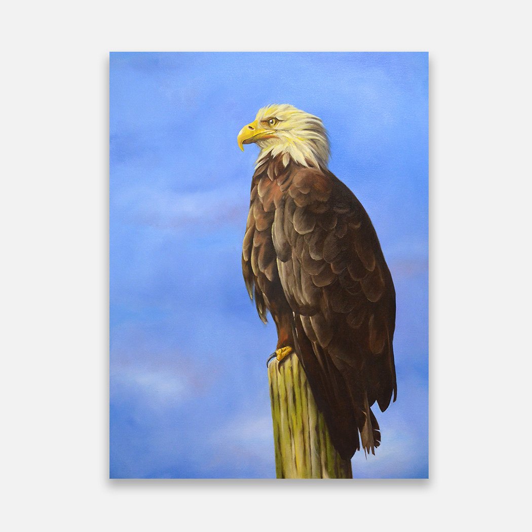 New Painting! &quot;Morning Sentinel&quot;, 18&quot; x 24&quot;, oil on canvas, $800.00 + shipping

PM me any questions, or shop at www.sarahbergeronartist.com (Link in Bio)

Made-to-order prints on paper and canvas also available!